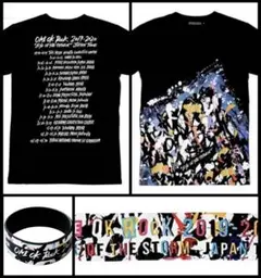 ONE OK ROCK 2019-2020 Eye of the Storm