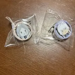 刀剣乱舞 御伴散歩 フリューくじ ぽちくじ E賞 御伴クリアバッジ