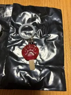 ズートピア アイスキャンディ　めじるしアクセサリー