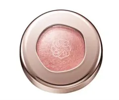 DECORTE アイグロウジェム スキンシャドウ05G