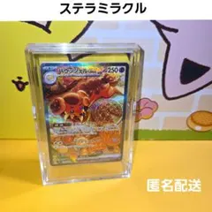 kuma Chan様 リクエスト 2点 まとめ商品