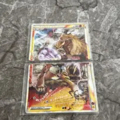 2025年最新】エンテイ＆ライコウ legendの人気アイテム - メルカリ