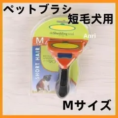 Item thumbnail for item 35a98405-4f6e-4833-9609-755260d79bdf