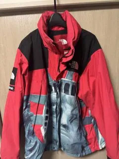 Supreme × THE NORTH FACE自由の女神 マウンテンパーカー
