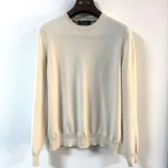Loro Piana❤︎ベビーカシミヤ❤︎ニット❤︎46❤︎ナチュラルメランジュのサムネイル