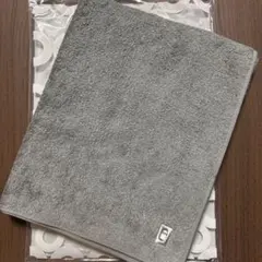 scope スコープ ハウスタオル ミニバス アッシュ 1枚