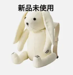 Item thumbnail for item 91f1b44c-08e3-4765-ac12-7efb78bdd3e1