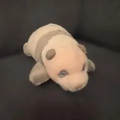 EVERLANDタグ付韓国 生後20日パンダ ぬいぐるみ