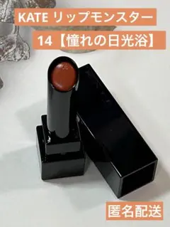 【憧れの日光浴】KATE リップモンスター　14