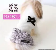 ♥️在庫1♥️ 犬服XS ワンピース　薄手　リボン　上品可愛い