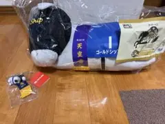 タイトーくじ 競馬2024コレクション LH賞 D賞 F賞 ゴールドシップ