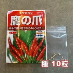 サカタのタネ 鷹の爪 トウガラシ 種 10粒のサムネイル