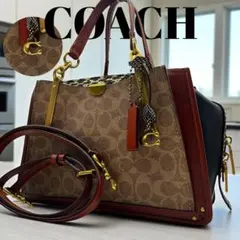2025年最新】コーチ パイソンの人気アイテム - メルカリ
