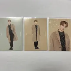 SEVENTEEN ウィンター　トレカ　ディノセット