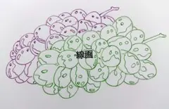 ★手書きイラスト　ポストカードサイズ　「シャインマスカット、巨峰」★