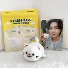 【新品未使用！】　BTS SUGA 10cm 着せ替えぬいぐるみ　ユンギ　猫 新品未使用！】 BTS SUGA 10cm 着せ替えぬいぐるみ ユンギ 猫