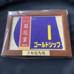 実使用ゼッケン G2 競馬 レッドアネモス【額入り】 実使用ゼッケン G2 競馬 レッドアネモス【額入り】 実使用ゼッケン G2