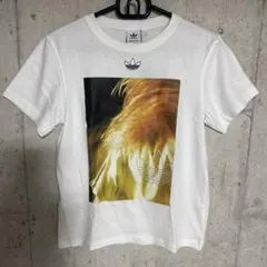 adidas ホワイト Tシャツ Sサイズ FM1916 アディダスオリジナルスのサムネイル