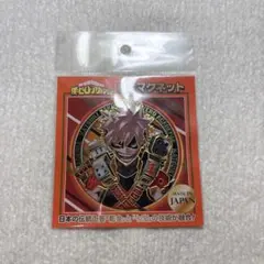 2025年最新】彫金マグネット ヒロアカの人気アイテム - メルカリ