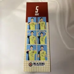 2026年最新】日本製鉄堺ブレイザーズの人気アイテム - メルカリ