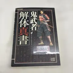 S-33 鬼武者解体真書