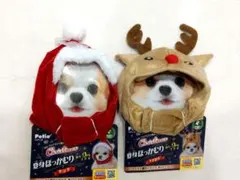 Item thumbnail for item a766d619-df68-495d-b541-b6da036cc58a