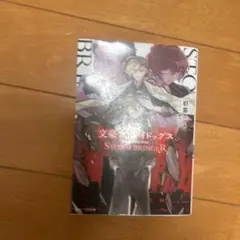 文豪ストレイドッグス 小説