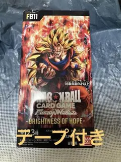 ドラゴンボールスーパーカードゲーム フュージョンワールド FB09