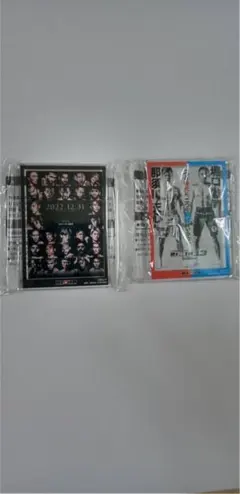 RIZIN アクリルスタンド14個セット RIZIN アクリルスタンド14個セット Amazon.co.jp: RIZIN