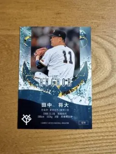 柳田将洋 トレーディングカード - メルカリ