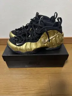 希少サイズ　美品　完売品　ナイキ　エアフォームポジットプロ　29cm Nike Air Foamposite Pro All-Star ナイキ エアフォームポジット