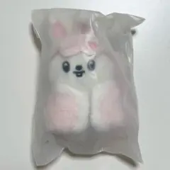 zeroni フラットぬいぐるみ hanini ハニニ ゼベワン zb1 - メルカリ