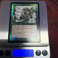 【Foil】《花の壁》(FNM)[DCIマーク]