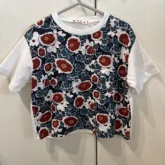 マルニ　半袖Tシャツ　6year 110cmのサムネイル