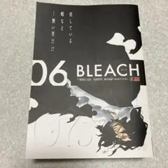BLEACH06