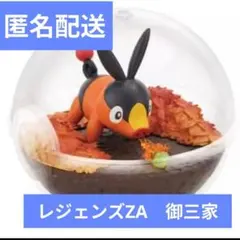 【新品】ポケモン テラリウムコレクション ポカブ　ZA　御三家