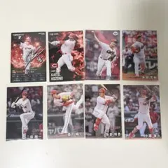 広島東洋カープ プロ野球チップス 8枚