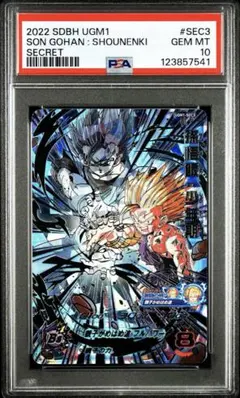 2025年最新】孫悟飯 少年期 psa10の人気アイテム - メルカリ