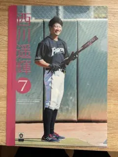 Item thumbnail for item f479e098-f087-4337-a570-fcd5e5633fb7