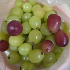 専用外します☆ゆうひ☆様専用