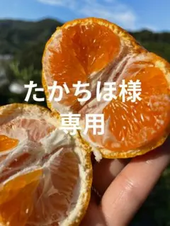 ※たかちほ様専用　和歌山県由良町　ゆら早生　秀品5kg