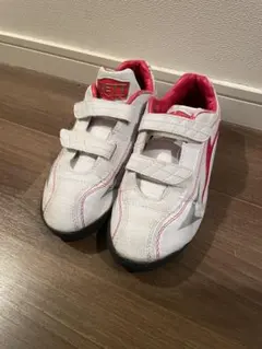 Item thumbnail for item 7c121198-7c94-418a-8ccb-cd4629dc4f08