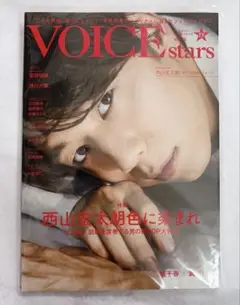 VOICEstars vol.15