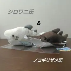 名古屋港水族館　南知多ビーチランド　スピードくじ　特賞　激レア 名古屋港水族館 南知多ビーチランド スピードくじ 特賞 激レア