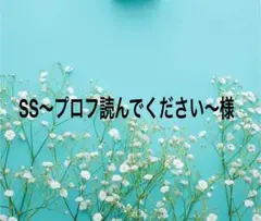 SS〜プロフ読んでください〜様専用出品になります。