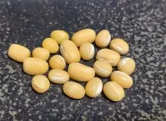 ヤッチ様 リクエスト 3点 まとめ商品