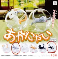 あかにゃい　猫　ガチャガチャ