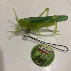 kkksurf様 リクエスト 2点 まとめ商品