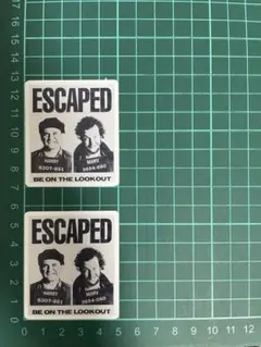 ★2枚セット★耐水ステッカー ホームアローン 映画 ハリー マーブ