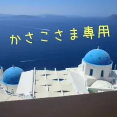かさこさま専用